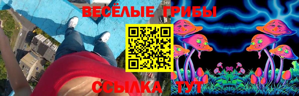 Костомукша  Галлюциногенные грибы MAGIC MUSHROOMS  Вход с VPN 
